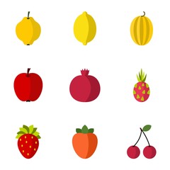 Fruit icons set. Flat illustration of 9 fruit vector icons for web
