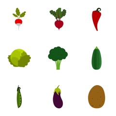 Types of vegetables icons set. Flat illustration of 9 types of vegetables vector icons for web