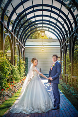 Fototapeta premium happy newlyweds walking together in the park
