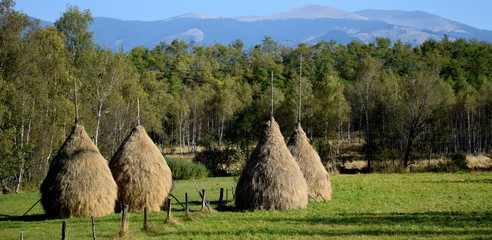 Haystacks in Romania