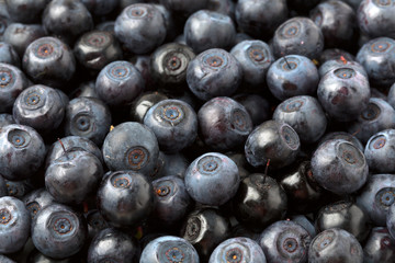 background blueberries