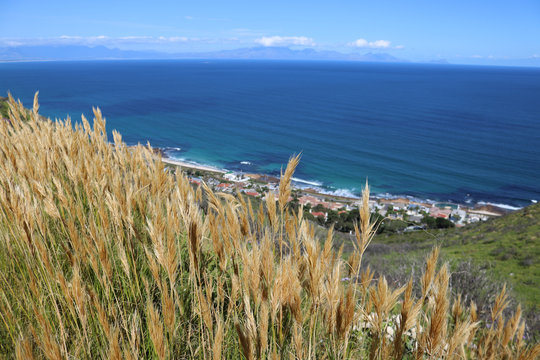 Flase Bay