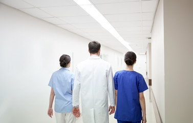 Fototapeta premium group of medics or doctors walking along hospital