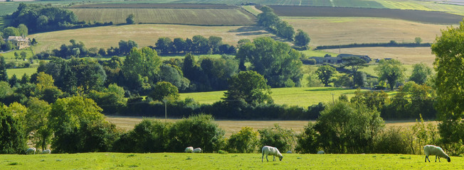 cotswolds