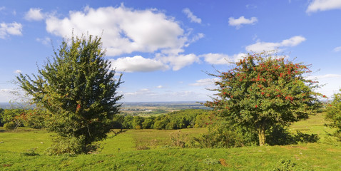 cotswold landscape uk