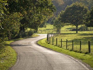 generic english landsacpe