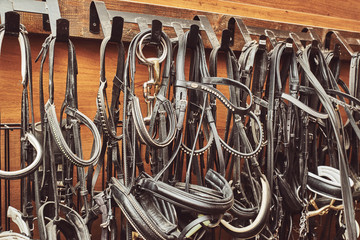 Leather horse bridles and bits hanging on wall of stable with one missing