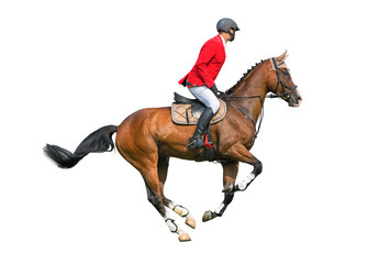 Equestrian sport: rider isolated on white background.