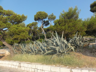Hvar island view
