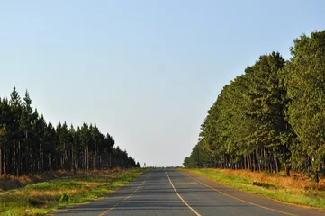 Foto op Plexiglas Sud Africa, 25/09/2009: il paesaggio sudafricano visto dalla N2, la celebre Garden Route, la strada panoramica della costa sud-orientale dal Wester Cape all' Eastern Cape © Naeblys