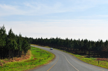 Fototapeta na wymiar Sud Africa, 25/09/2009: il paesaggio sudafricano visto dalla N2, la celebre Garden Route, la strada panoramica della costa sud-orientale dal Wester Cape all' Eastern Cape