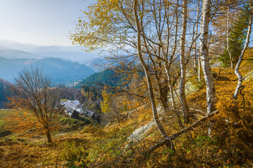 The rural houses on the mountain farm in forest under rocks. Mor