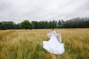 Fototapeta na wymiar The bride stands in a field in a long dress and holding a veil