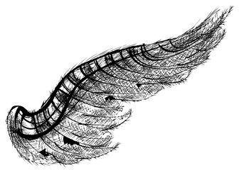 black wing