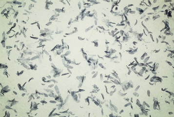 Handmade paper of japanese traditional crafts, background materi