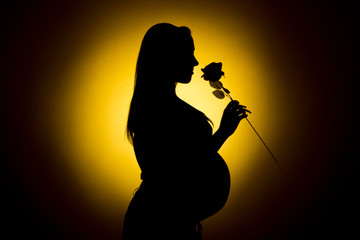 Pregnant woman abstraction