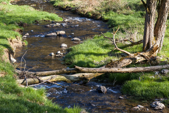 Schwarzatal Th&uuml;ringer Wald Bachlauf