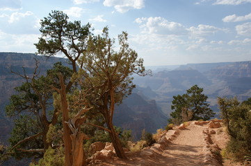 Grand Canyon USA