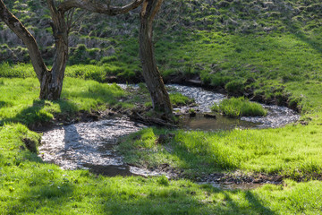 Schwarzatal Thüringer Wald Bachlauf