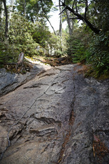 登山道 危険箇所 鎖場