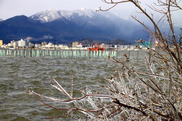 Fototapeta na wymiar 琵琶湖のしぶき氷
