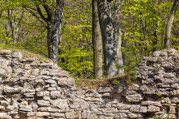 Fototapeta premium historische Mauerreste einer Burganlage