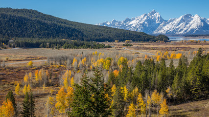 Golden autumn forest. Beautiful snow-capped mountains. Golden autumn. Grand Teton National Park, Wyoming, USA