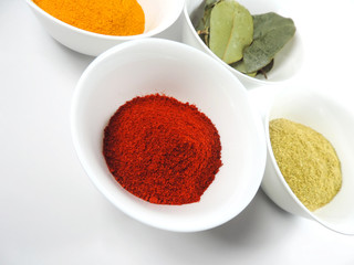 Various spices in white bowls, studio shot. Cooking ingredients.