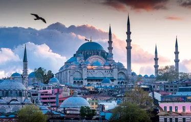 Kussenhoes Istanbul the capital of Turkey, eastern tourist city. © seqoya