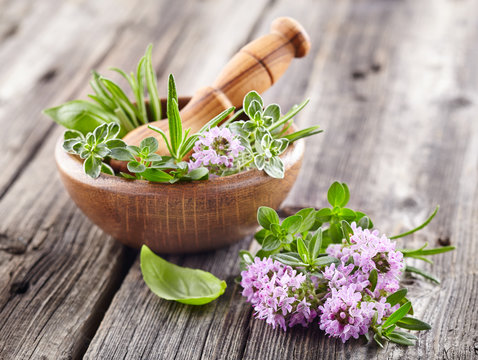 Fresh herbs on a wooden background