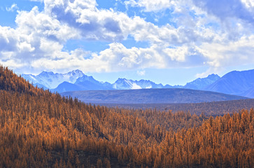 Fototapeta na wymiar Autumn forest on a background of snow-capped mountains