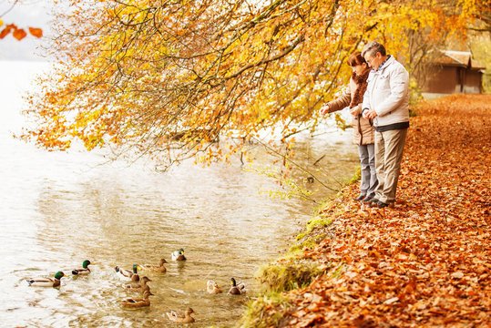 Senior Couple feeding Ducks on the Lake