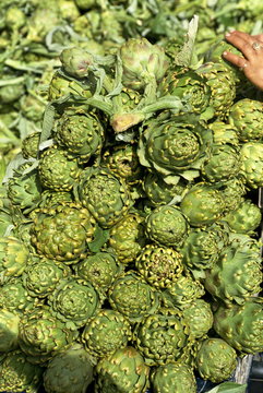 Close-up of globe artichokes on market day, Agios Nikolas, Crete, Greek Islands, Greece
