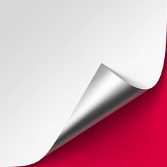 Vector Curled Metalic Silver corner of White paper with shadow Mock up Close up on Red Background