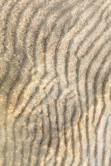 sand on the sea shallow water of Baltic sea