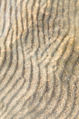 sand on the sea shallow water of Baltic sea