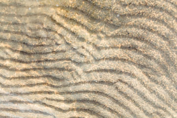 sand on the sea shallow water of Baltic sea