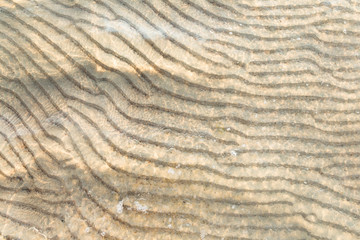 sand on the sea shallow water of Baltic sea