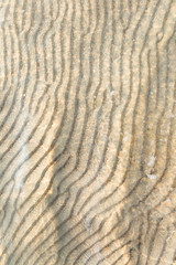 sand on the sea shallow water of Baltic sea