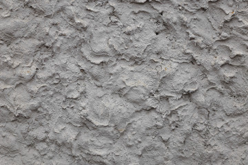 Gray white rough abstract stucco texture for background