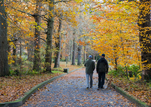 Two Men Walking The Dog Through An Autumn Park