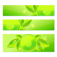 Set of vector banners with fresh green leaves. Spring and summer nature background