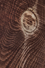 Fototapeta premium Wood background or texture