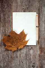 Old maple leaf and blank paper