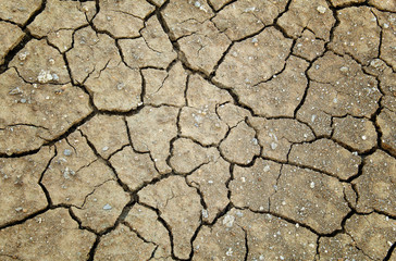 Dry and cracked earth for background