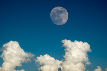 Naklejka na ściany i meble super full moon with clear blue sky cloud for background backdrop use
