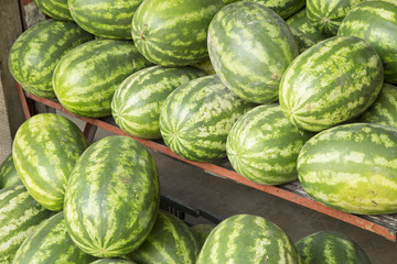 Delicious watermelon fruit (Citrullus lanatus)