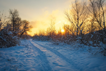 Beautiful winter landscape with sunrise sky, road and trees