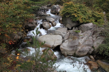 紅葉の昇仙峡の渓流