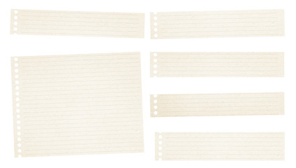 Pieces of ruled notebook paper  - 127200402